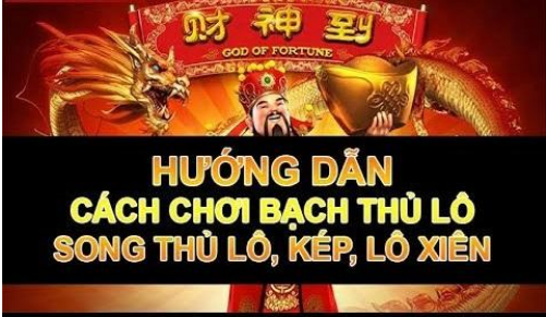 huongdanbatcauchinhxac100