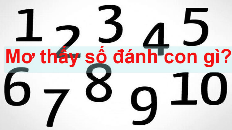 Chiêm bao thấy số đề thì nên đánh con gì