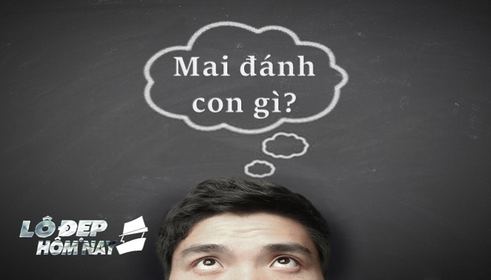 mai-danh-con-gi mai đánh con gì?